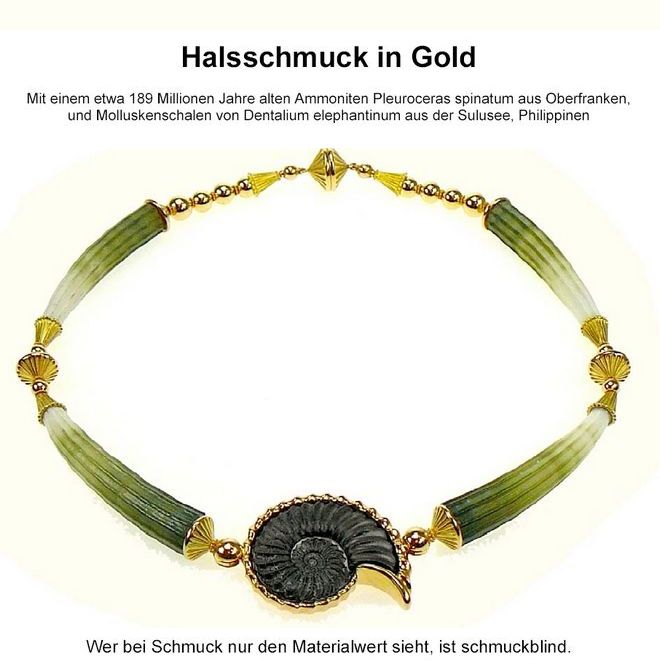 Halsschmuck in Gold mit Ammonit und Molluskenschalen