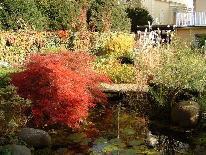 Herbst 05